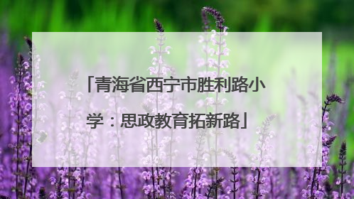 青海省西宁市胜利路小学：思政教育拓新路